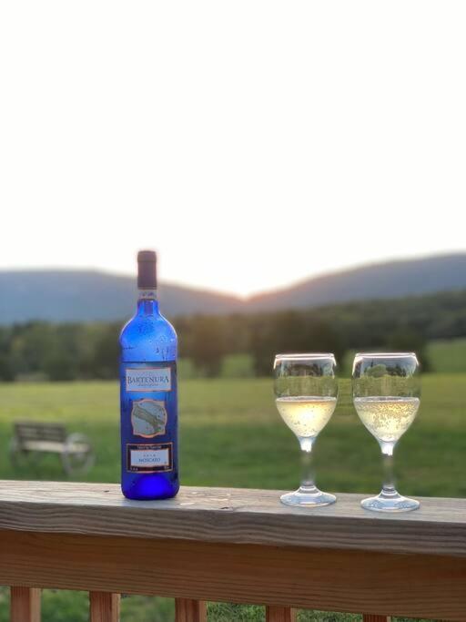 فيلا Holly Tree Retreat Located In Beautiful Luray, Va. المظهر الخارجي الصورة