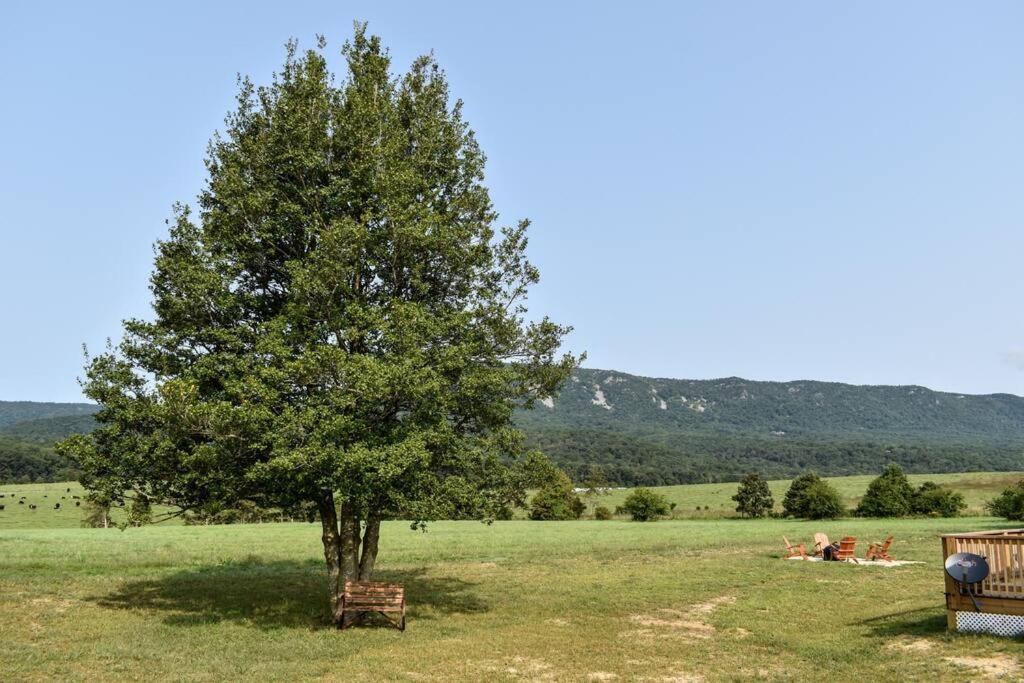 فيلا Holly Tree Retreat Located In Beautiful Luray, Va. المظهر الخارجي الصورة