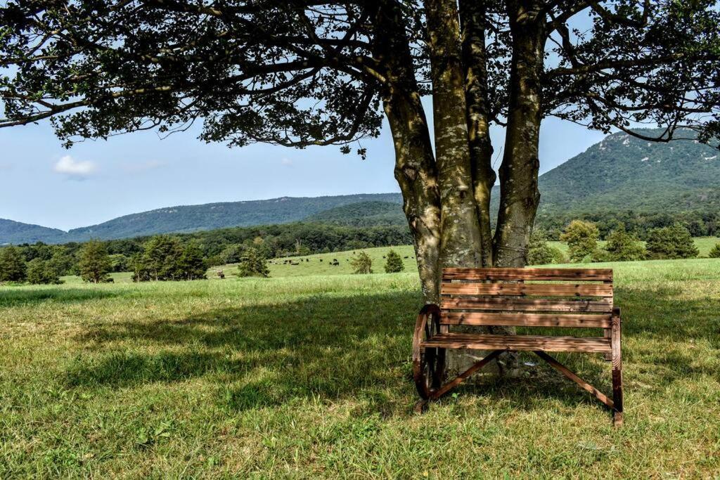 فيلا Holly Tree Retreat Located In Beautiful Luray, Va. المظهر الخارجي الصورة